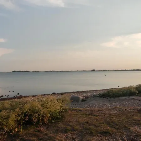 Gold Fehmarn