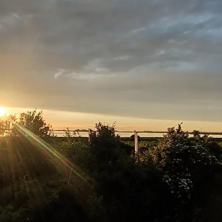 Gold * Fehmarn