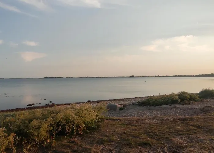Gold Fehmarn
