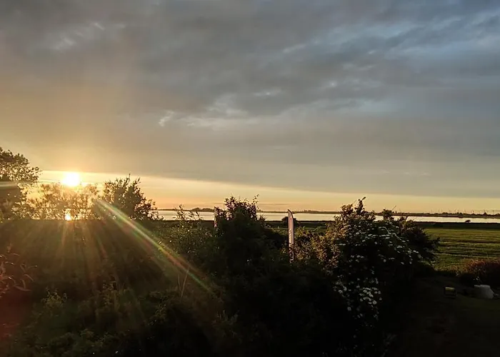 Gold * Fehmarn